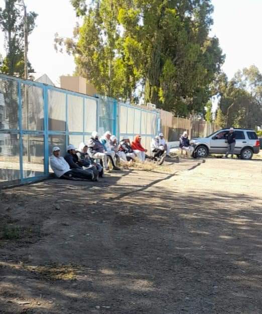 FB_IMG_1732565860220