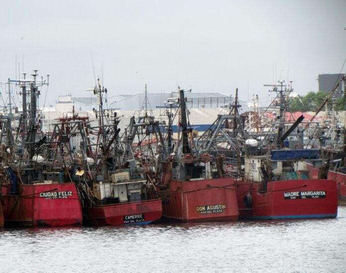 rojos_amarrados16-2-scaled