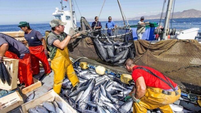 sector-pesquero-1949586