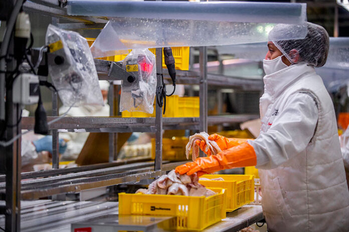 Revista-Puerto-Chubut-Planta-de-Red-Chamber-ex-Alpesca