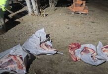 Lo detuvieron en un vehículo oficial y dijo que llevaba carne faenada para un ministro y comisarios