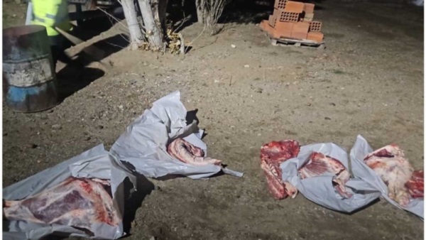 408349_crop_185516_md (1)