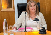 Claudia Solís asumirá la presidencia del concejo deliberante de Trelew