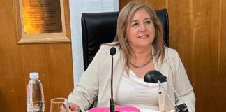 Claudia Solís asumirá la presidencia del concejo deliberante de Trelew